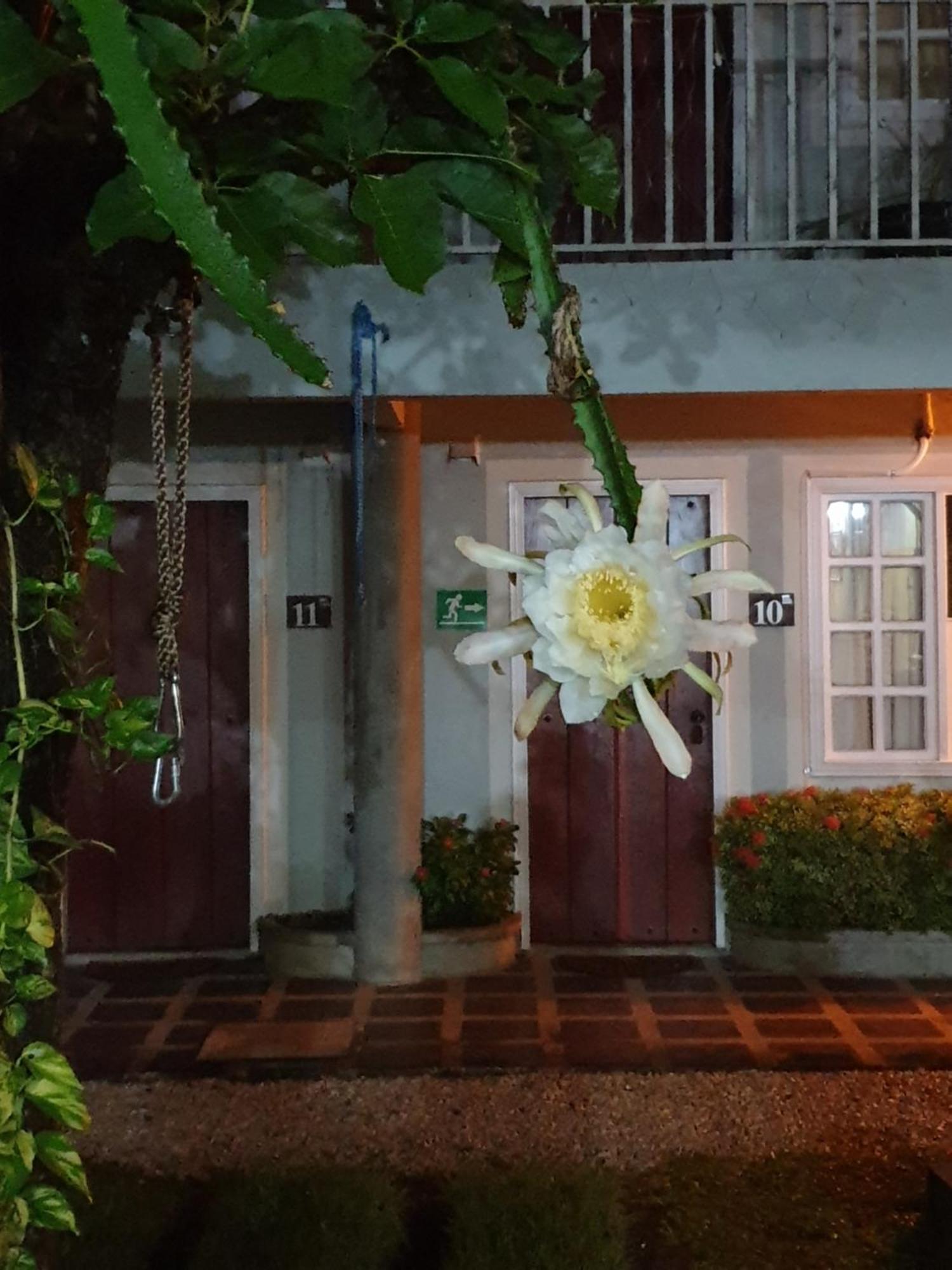 Hotel Либерия Экстерьер фото